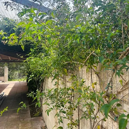 Dimora Mediterranea * Торре-Лапилло