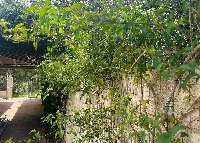 Dimora Mediterranea * Торре-Лапилло