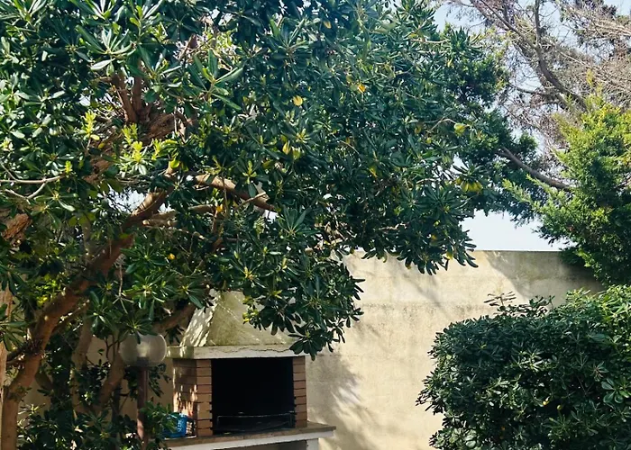 Дом отдыха Dimora Mediterranea